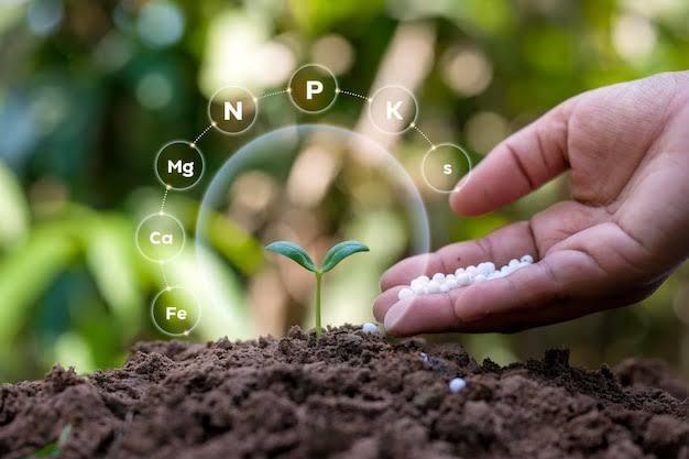 GARDEN CARE